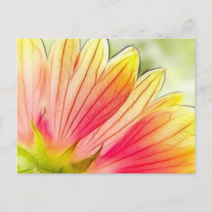 Blanket Blume Petals Nah Postkarte