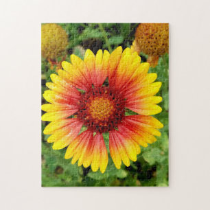 Blanket-Blume-Puzzle
