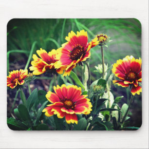 Blanket Daisy Flowers Mousepad