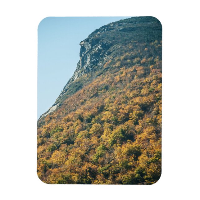 Blanket des Herbstes Magnet (Vertikal)