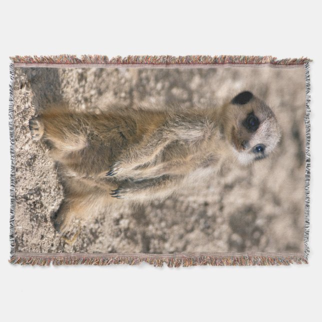 Blanket für den Einstieg in das Training Decke (Vorderseite)