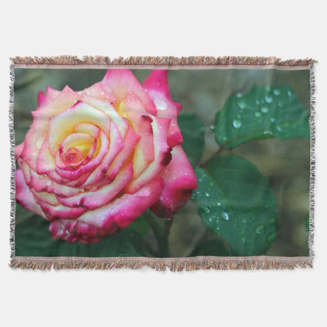 Blanket/Rosa Rose mit Morgenröte Decke (Vorderseite)