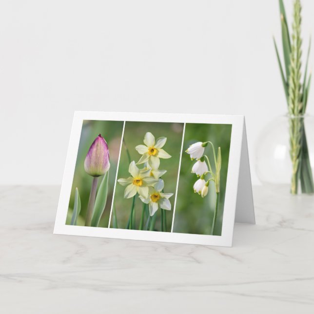 Blanko-Grußkarte "Frühlingsblumen" Karte (Vorderseite)