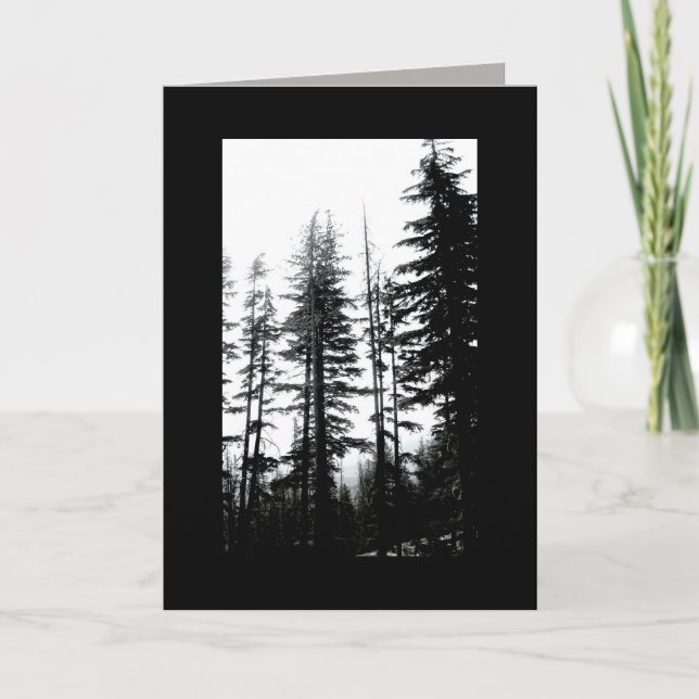Blankokarte B & W Foto Kiefern Karte (Vorderseite)
