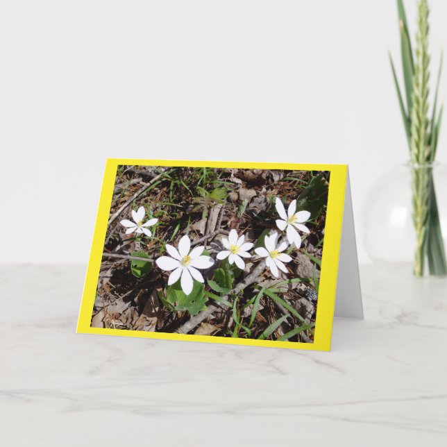 Blankokarte Bloodroot II Karte (Vorderseite)