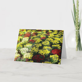 'Blankokarte der Blume im Herbst Karte