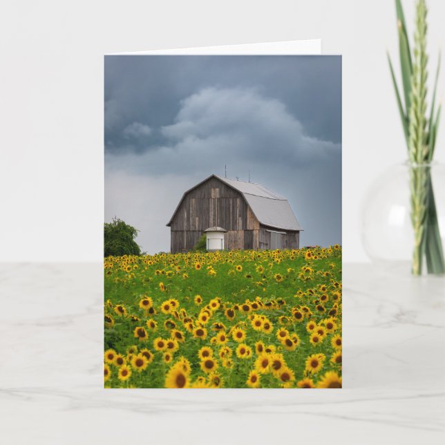 Blankokarte des Sonnenblumensturms Dankeskarte (Vorderseite)