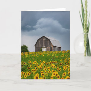 Blankokarte des Sonnenblumensturms Dankeskarte