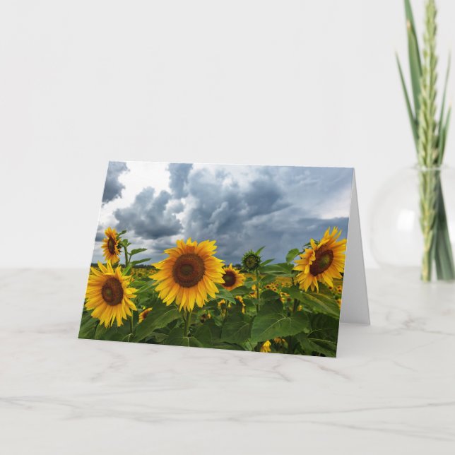 Blankokarte des Sonnenblumensturms Dankeskarte (Vorderseite)