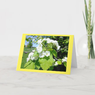 Blankokarte für Blume im Hawthorn Karte