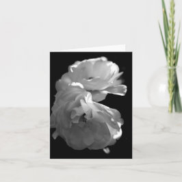 Blankokarte für das Wild-Weiß-Roses-Beileid Dankeskarte