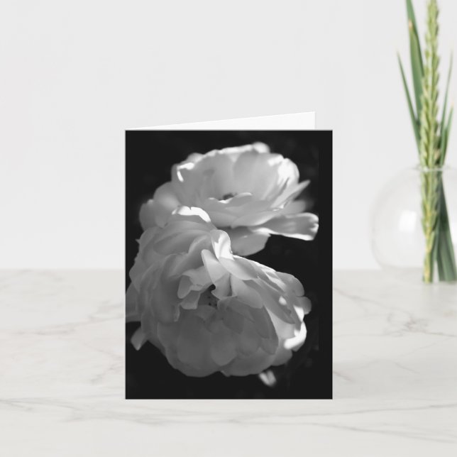 Blankokarte für das Wild-Weiß-Roses-Beileid Dankeskarte (Vorderseite)