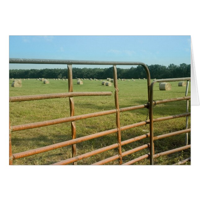 Blankokarte für den ländlichen Hay (Vorderseite (Horizontal))