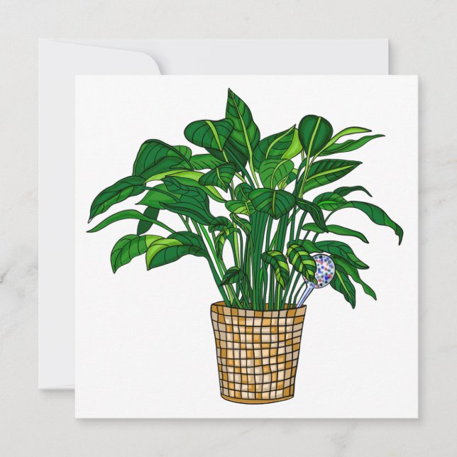 Blankokarte für die Pflanze "Peace Lilly" Dankeskarte (Vorderseite)