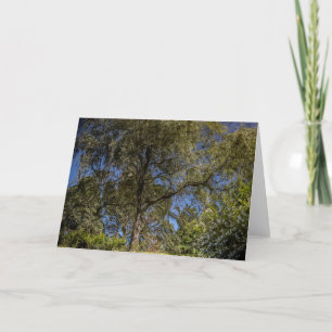 Blankokarte für Surreal Tree Karte