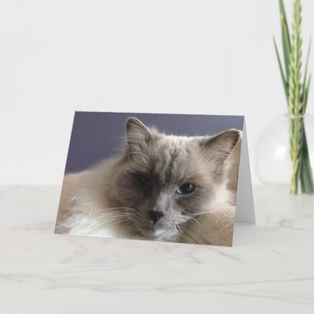 Blankokarte Karte (Vorderseite)