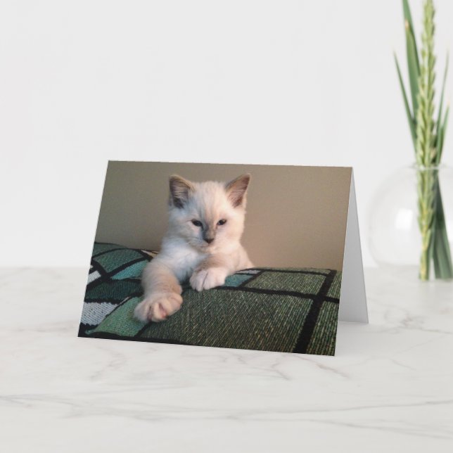 Blankokarte Karte (Vorderseite)