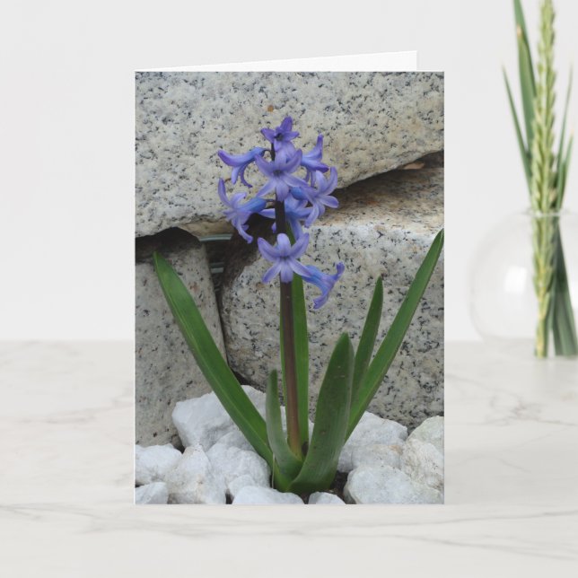 Blankokarte Karte (Vorderseite)