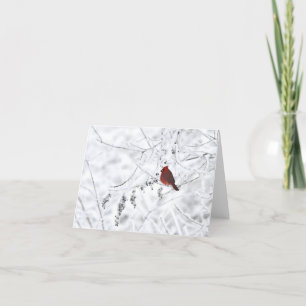 Blankonotecard für Winter-Kardinal Dankeskarte