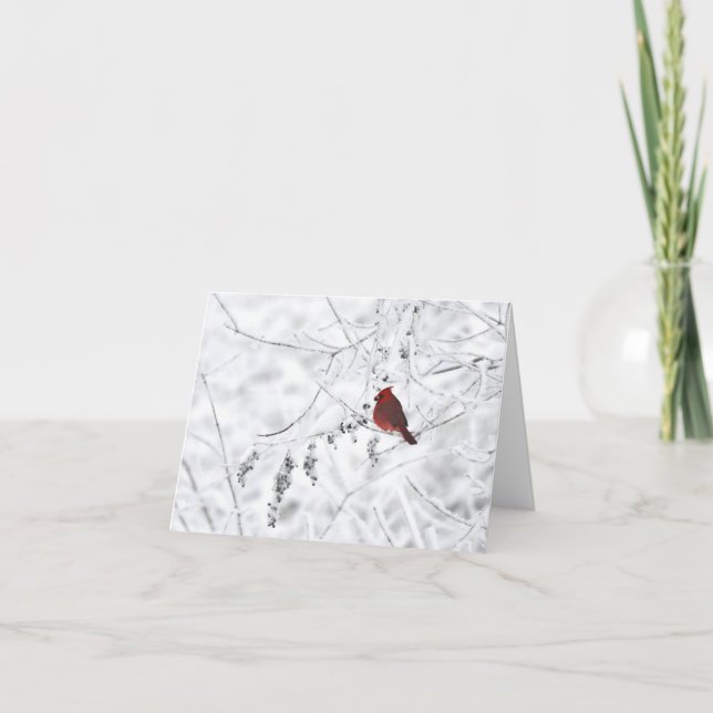 Blankonotecard für Winter-Kardinal Dankeskarte (Vorderseite)