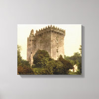 Blarney Castle Cork, Irlande c1900, impression vin