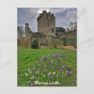 Blarney Castle, Landkreis Cork, Irland Postcard Postkarte