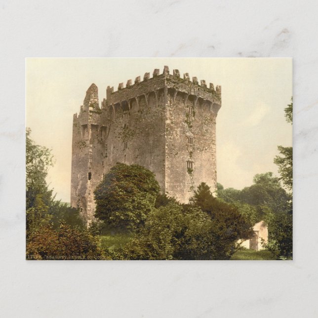 Blarney Castle, Landkreis Cork Postkarte (Vorderseite)
