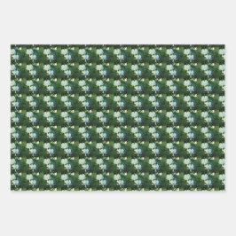 Bläschenmuster Geschenkpapier Set