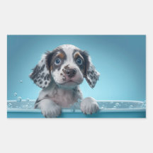 Blase Bath Tub Pup
