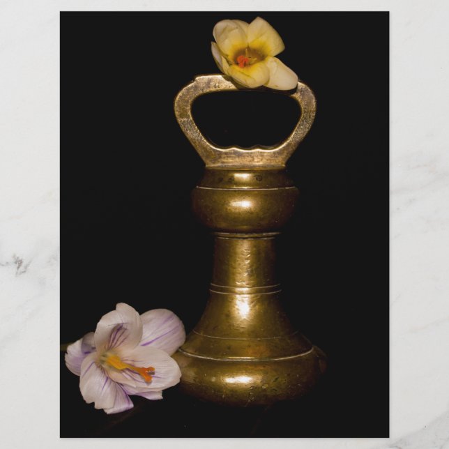 Bläserattraktion (Vorderseite)