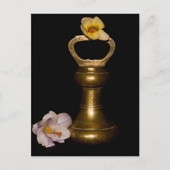 Bläserattraktion Postkarte (Vorderseite)