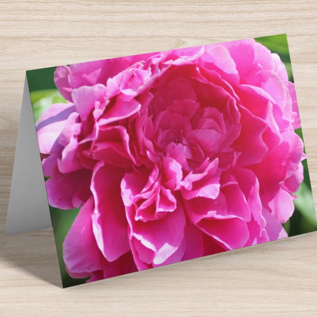 Bläsernblank Inside Hübsch rosa Elegant geklappt (Von Creator hochgeladen)