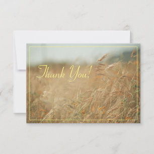 Blass Pastellfarben Feld Danke Flachkarte