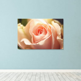 Blass Peach Rosen Wrapped Canvas Leinwanddruck