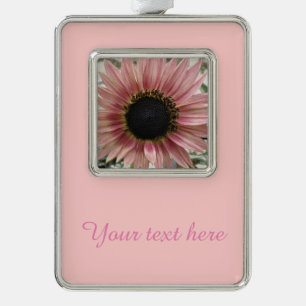 Blass Pink Sonnenblume Personalisiert Rahmen-Ornament Silber