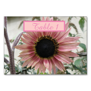 Blass Pink Sonnenblume Personalisiert Tischnummer