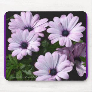 "Blasse lila Gänseblümchen " Mousepad