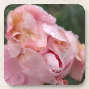 Blasse rosa Rose Getränkeuntersetzer