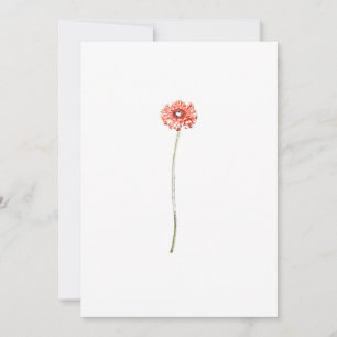 Blasse rote Gerbera-Blumen-Einladungskarte Einladung