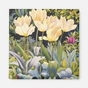 Blasse Tulpen Magnet