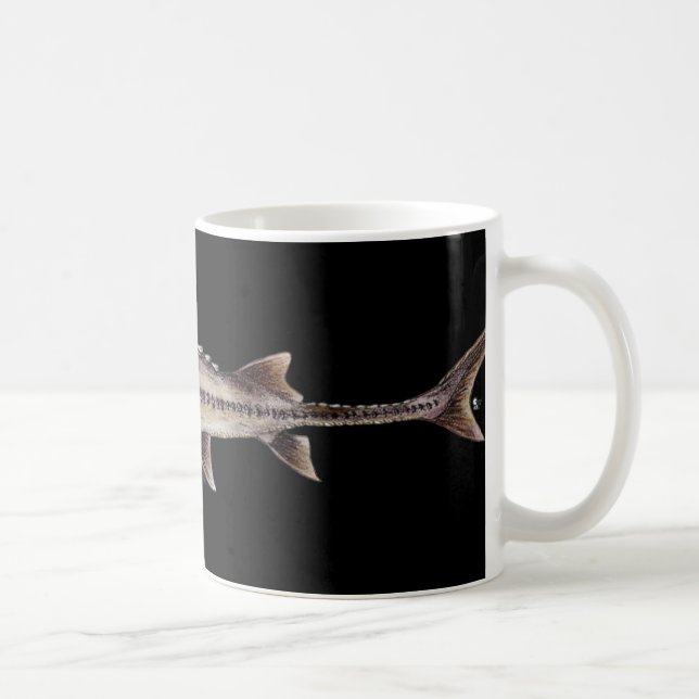 Blasser Stör - Scaphirhynchus albus Kaffeetasse (Rechts)