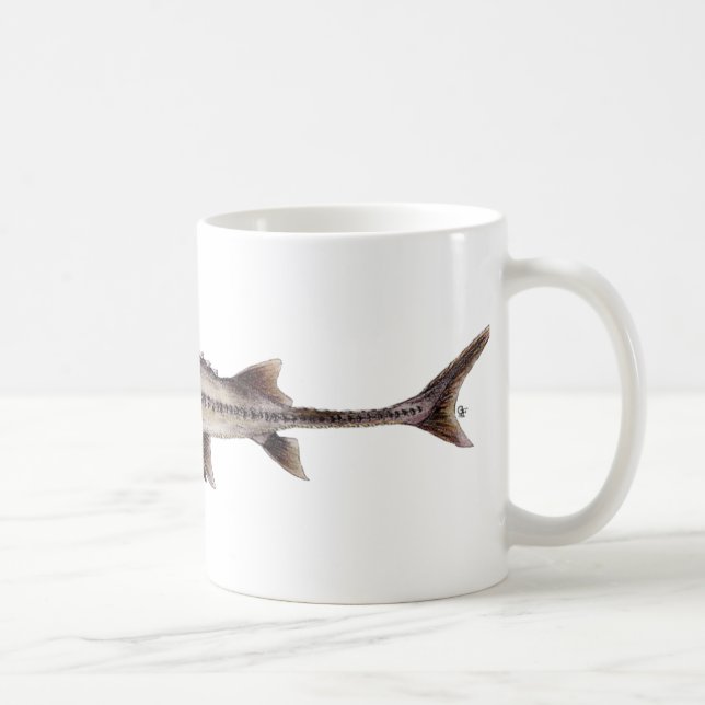 Blasser Stör - Scaphirhynchus albus Kaffeetasse (Rechts)