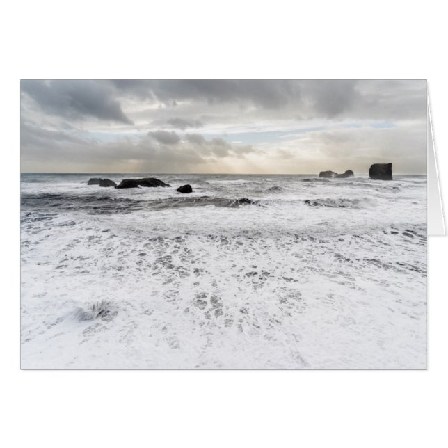 Blassfoamische Meeresfrüchte, Island (Vorderseite (Horizontal))