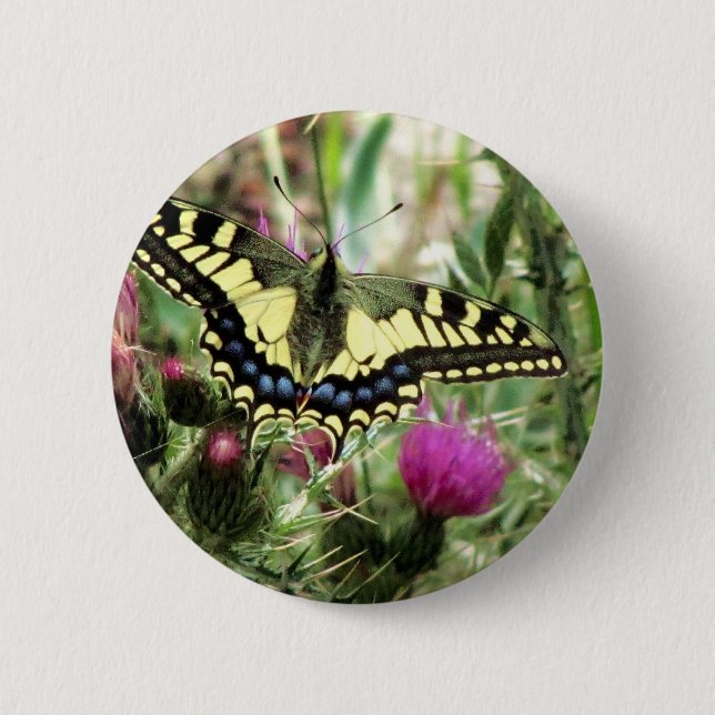 Blassgelb und blau button (Vorderseite)