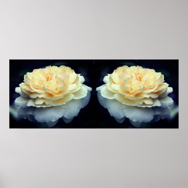 Blassgelbe Rose im Blutspiegel Abstrakt Poster (Vorne)