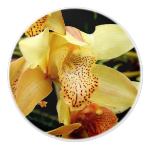 Blassgelbes Cymbidium Orchid Keramik Knochen Keramikknauf