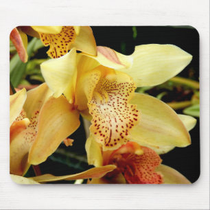 Blassgelbes Cymbidium Orchideenmatte Mousepad