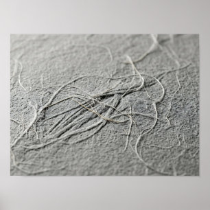 Blassgraues verworrenes Faserpapier-Texturplakat Poster