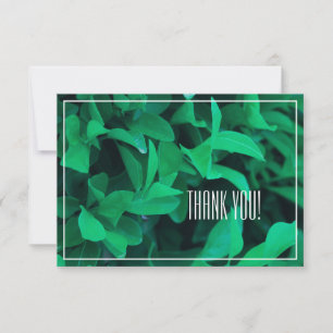 Blassgrüne Leaf-Pflanze Danke, Flachkarte