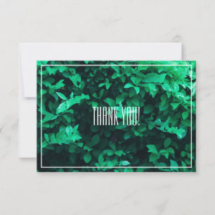 Blassgrüne Leaf-Pflanze Danke, Flachkarte